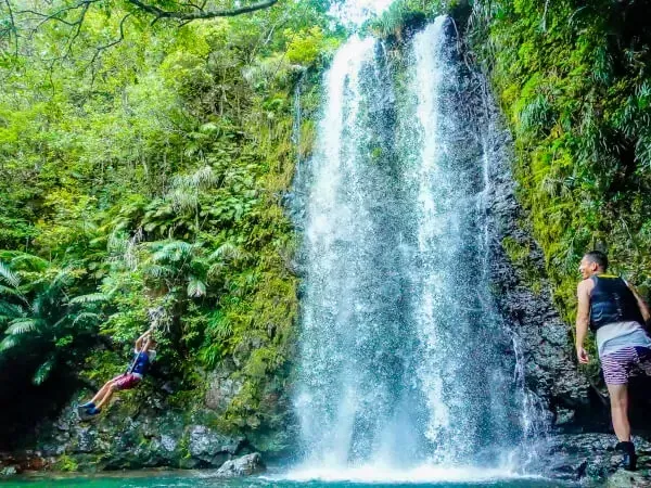 ここにプラン名が入ります。詳細ではプラン名は全て表示します。最大で2行