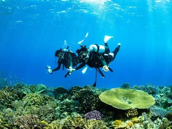 ここにプラン名が入ります。詳細ではプラン名は全て表示します。最大で2行