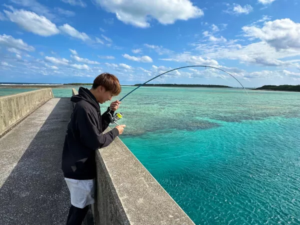 ここにプラン名が入ります。詳細ではプラン名は全て表示します。最大で2行