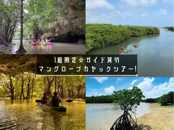 ここにプラン名が入ります。詳細ではプラン名は全て表示します。最大で2行