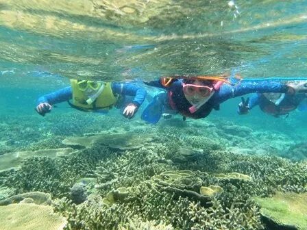 ここにプラン名が入ります。詳細ではプラン名は全て表示します。最大で2行