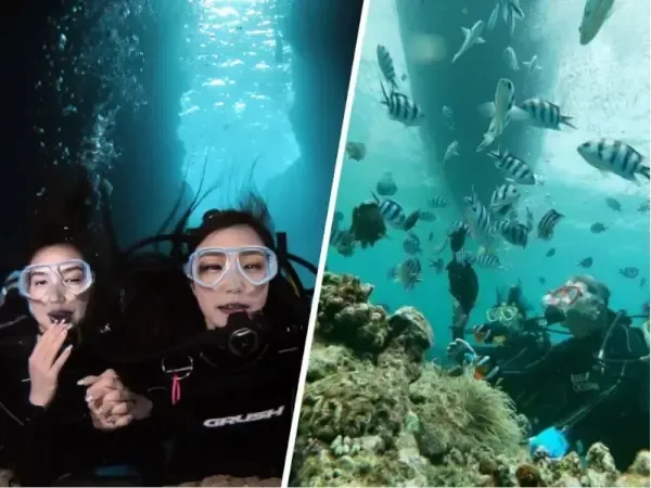 ここにプラン名が入ります。詳細ではプラン名は全て表示します。最大で2行