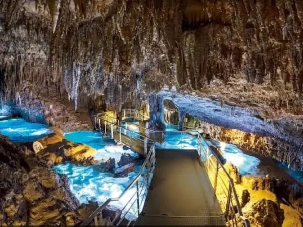 沖縄観光バス2｜ジャンボツアーズ