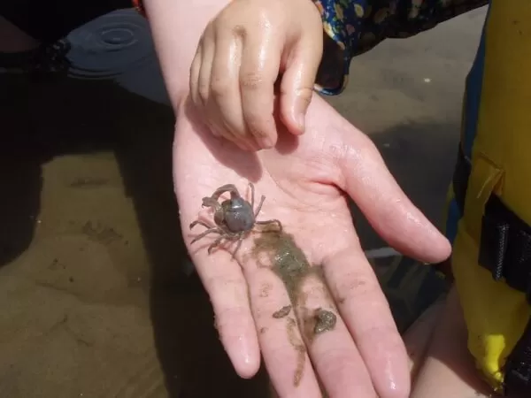 干潮時にはこんな出会いも♪