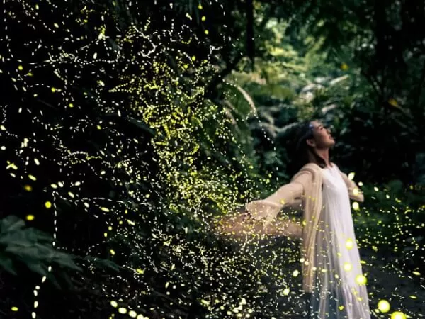 ここにプラン名が入ります。詳細ではプラン名は全て表示します。最大で2行