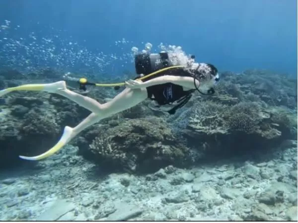 ここにプラン名が入ります。詳細ではプラン名は全て表示します。最大で2行