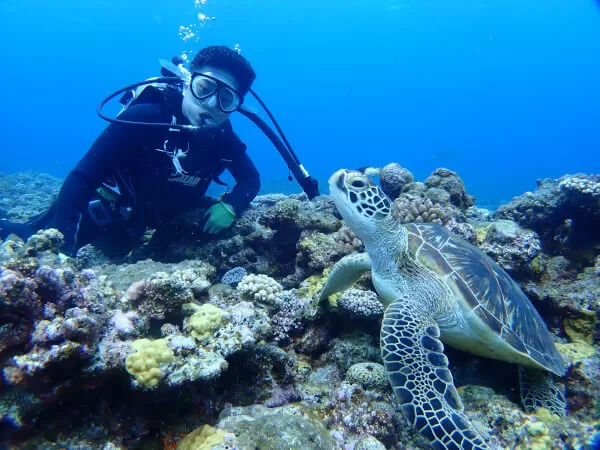 慶良間ボート体験ダイビング2本★慶良間無人島上陸ツアー【那覇発・終日・10歳以上・1名可・お魚餌付＆ランチ＆撮影写真付（データ：Facebook共有）&那覇市内送迎付★한국어 OK!】
