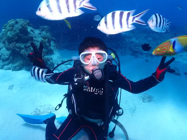 県民割！通常より10%OFF★慶良間ボート体験ダイビング1本+シュノーケル★慶良間無人島上陸ツアー【那覇発・10歳以上・お魚餌付＆ランチ＆撮影写真付（データ：Facebook共有）】(A)