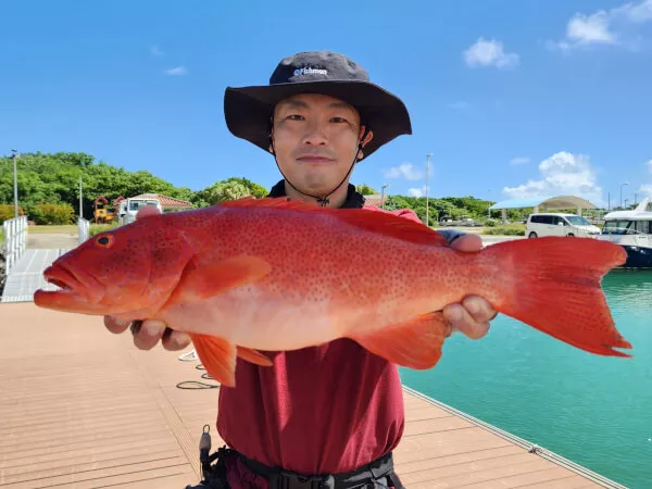 ジグで大きいハタと挑戦!!