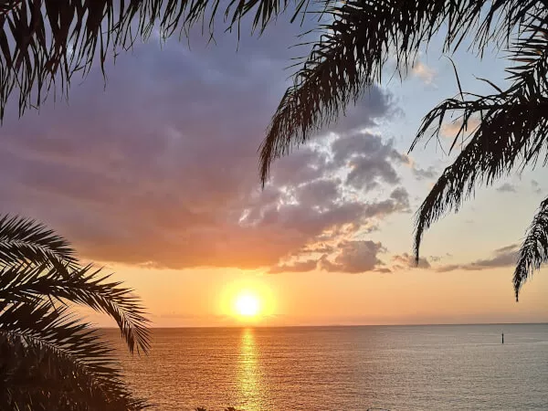 美浜アメリカンビレッジ