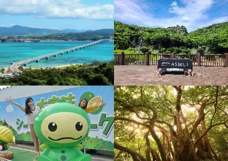 沖楽ブログ