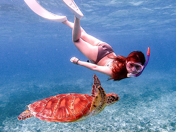 宮古島｜スキンダイビング｜ウミガメ