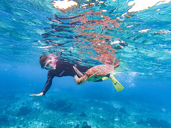 宮古島｜スキンダイビング｜ウミガメ