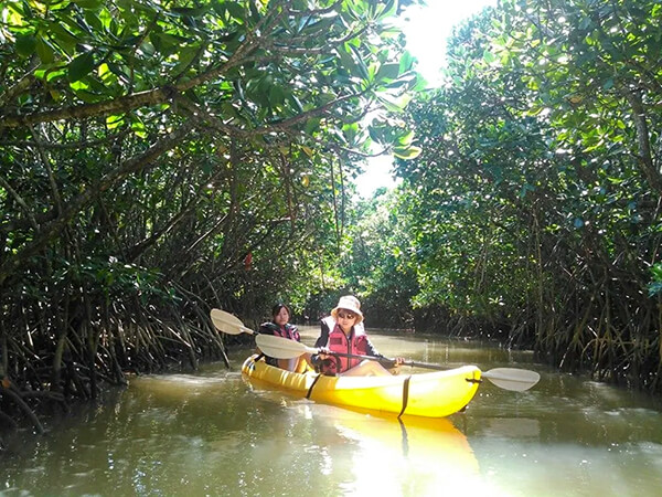 あまんだまん｜やんばる慶佐次｜マングローブカヤック｜カヌー