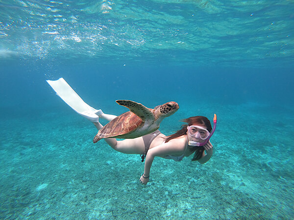 宮古島｜スキンダイビング｜ウミガメ