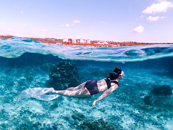 宮古島｜スキンダイビング｜ウミガメ