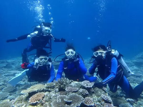 石垣島｜体験ダイビング｜一日