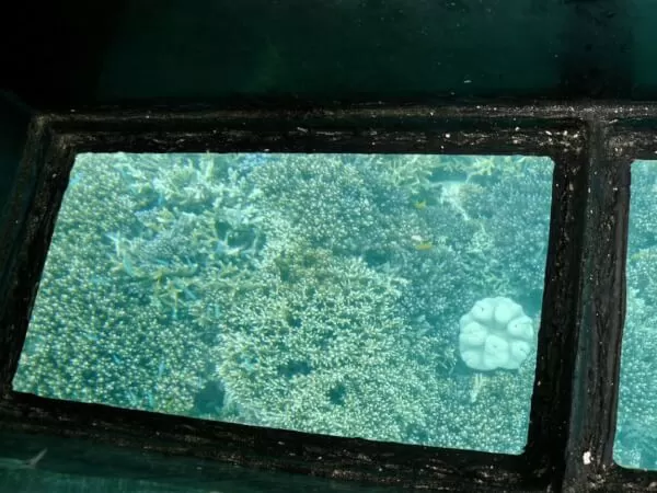 石垣島｜トライクツアー｜ツーリング