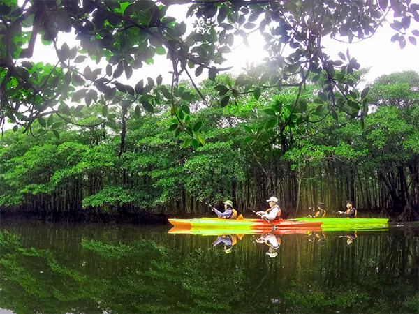 西表島｜カヌー｜トレッキング｜マイラ川