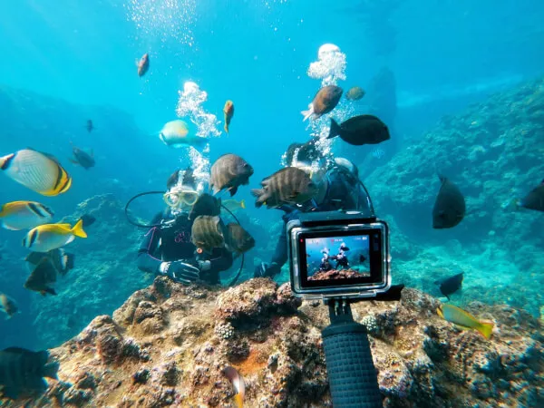 青の洞窟体験ダイビング