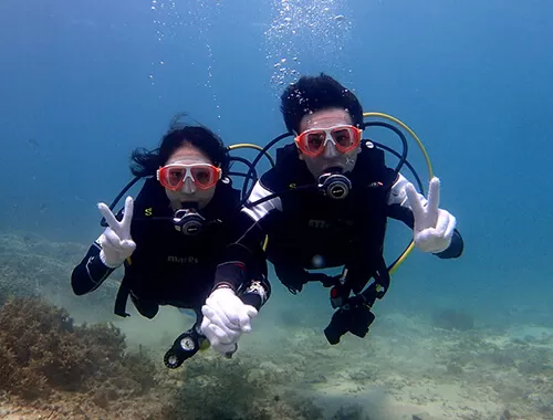 ここにプラン名が入ります。詳細ではプラン名は全て表示します。最大で2行