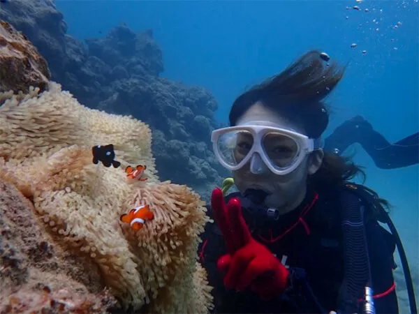 AQUA COLOR'S（アクアカラーズ）｜石垣島｜体験ダイビング