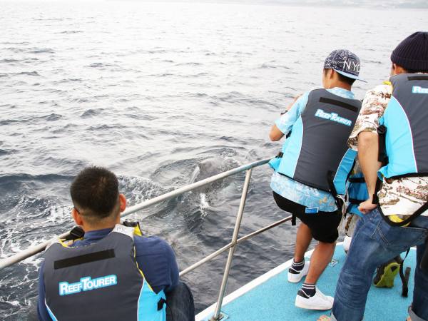 ホエールウォッチング