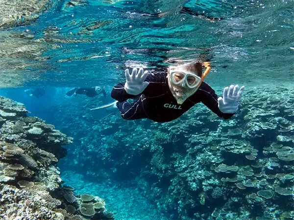 石垣島｜体験ダイビング｜シュノーケリング｜一日