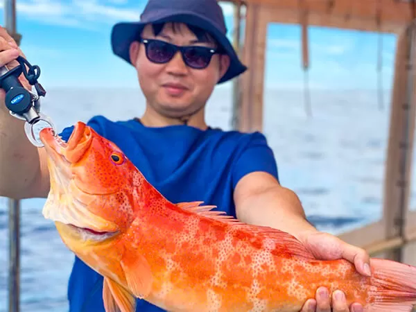 石垣｜泳がせ釣り