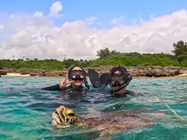 ここにプラン名が入ります。詳細ではプラン名は全て表示します。最大で2行