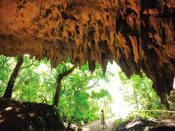 バスツアー｜株式会社H.I.S.沖縄