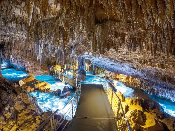 バスツアー｜株式会社H.I.S.沖縄