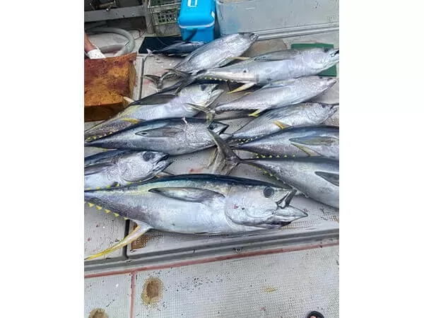 久米島|船釣り|チャーター