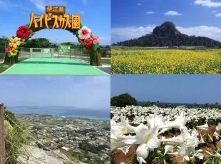 ＼今だけ割引中／2024年『伊江島ゆり祭り』日帰りツアー★観光バスツアー【那覇・北谷発・伊江島上陸・約10時間・0歳以上・1名可・船＆バス乗船料＆お弁当代込・4/29～5/5限定開催】