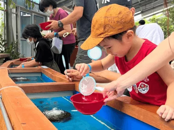 釣って見つけるぼうけんの国 沖縄