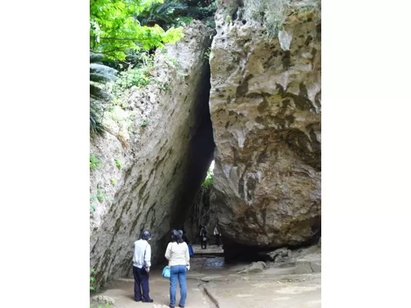 ガイド付きツアー2|株式会セルリアンブルー