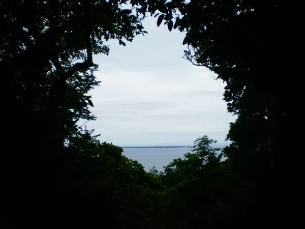 ガイド付きツアー3|株式会セルリアンブルー