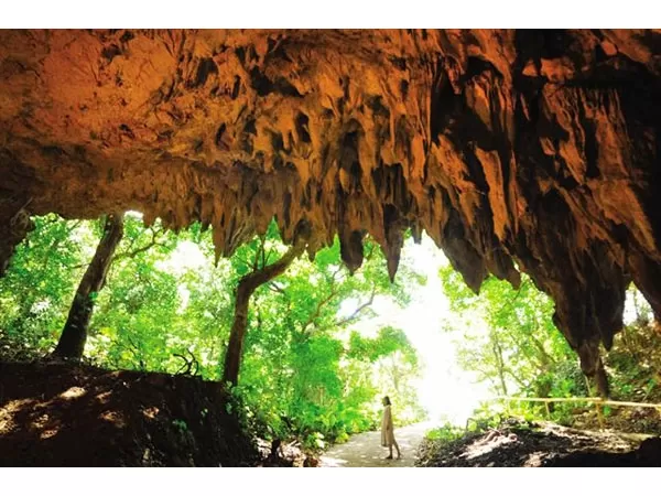 ガイド付きツアー4|株式会セルリアンブルー