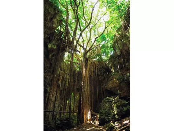 ガイド付きツアー5|株式会セルリアンブルー