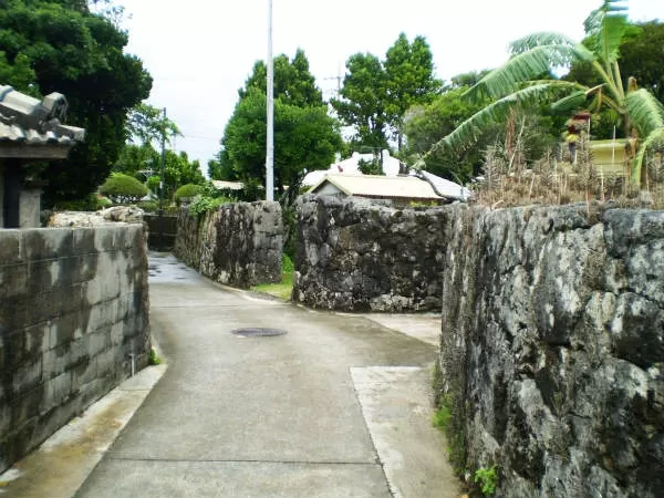 ガイド付きツアー2|株式会セルリアンブルー