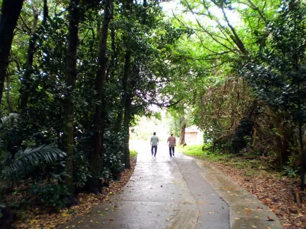 ガイド付きツアー3|株式会セルリアンブルー