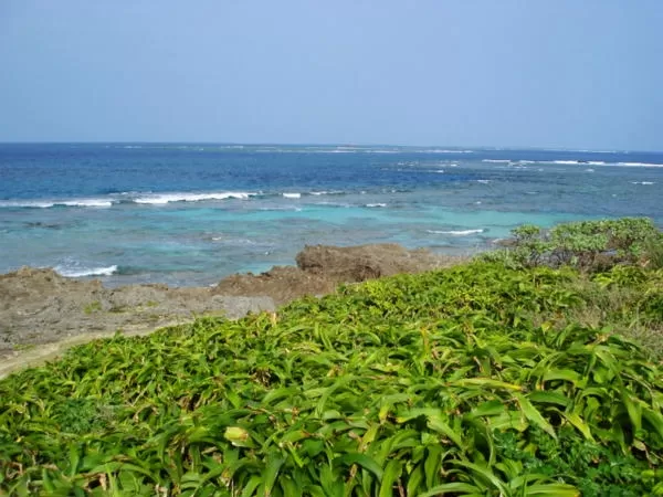 ガイド付きツアー4|株式会セルリアンブルー