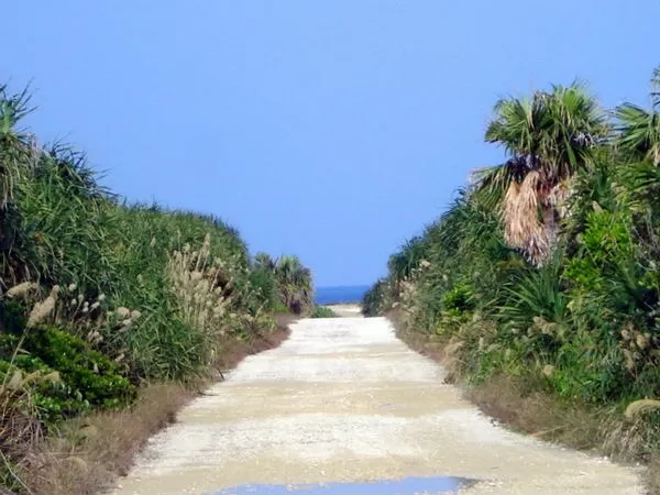 ガイド付きツアー5|株式会セルリアンブルー