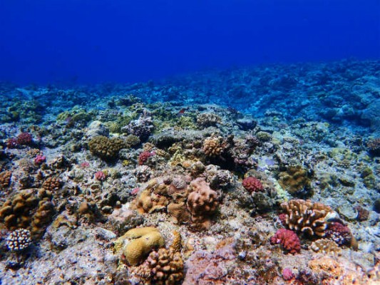 P7020081