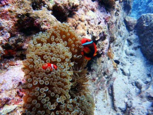 P7020093_R