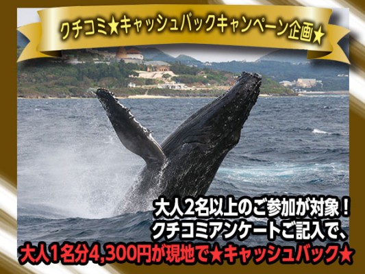 キャンペーン2016