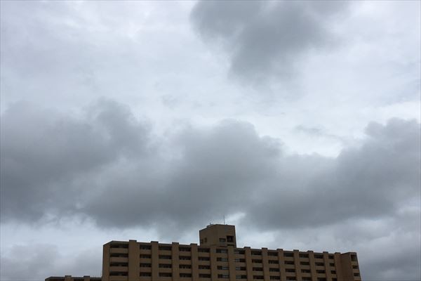 S__18554884_R