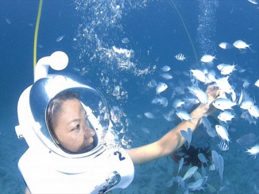 シートレック熱帯魚餌付け体験_R
