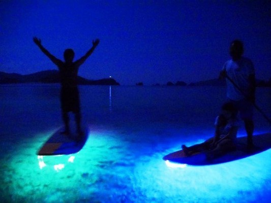 11811416_832204036877562_8979419553400254617_n_R