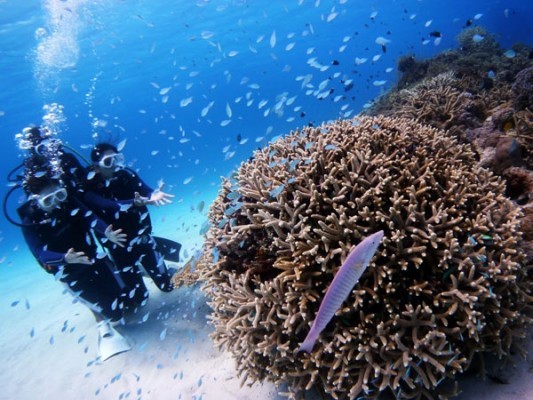 1406860732140379377589